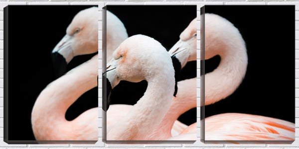Quadro canvas 68x126 três flamingos fundo preto - 1