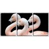 Quadro canvas 68x126 três flamingos fundo preto - 1