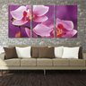 Quadro canvas 68x126 flor no galho fundo violeta - 2