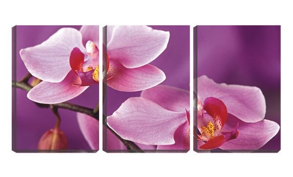 Quadro canvas 68x126 flor no galho fundo violeta - 1