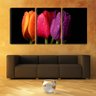 Quadro canvas 68x126 água em três tulipas coloridas - 2
