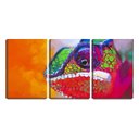 Ver imagem 1 de Quadro canvas 68x126 olho de camaleão arte
