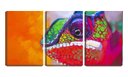 Ver imagem 1 de Quadro canvas 68x126 olho de camaleão arte