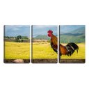 Ver imagem 1 de Quadro canvas 68x126 galo cantando na cerca