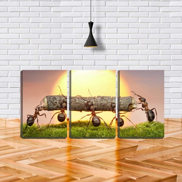 Quadro canvas 68x126 formigas carregando graveto - 1