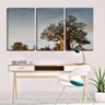 Quadro canvas 68x126 grande baobá africano - 2