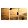 Quadro canvas 68x126 silhueta de três patos voando - 1