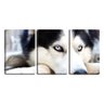 Quadro canvas 68x126 olhos azuis de husky siberiano - 1