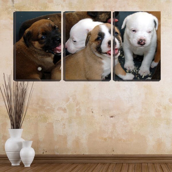 Quadro canvas 68x126 cinco filhotes de cachorros - 2