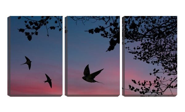 Quadro canvas 68x126 silhueta de andorinhas - 1