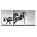 Ver imagem 1 de Quadro canvas 68x126 dois cavalos no campo