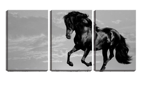 Quadro canvas 68x126 cavalo negro céu pb - 1