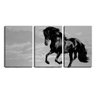 Quadro canvas 68x126 cavalo negro céu pb - 1