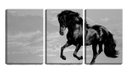 Ver imagem 1 de Quadro canvas 68x126 cavalo negro céu pb