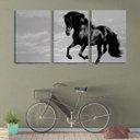 Ver imagem 2 de Quadro canvas 68x126 cavalo negro céu pb