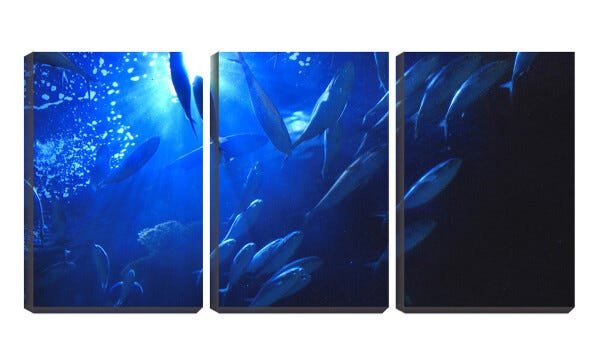 Quadro canvas 68x126 cardume na água azul - 2