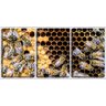 Quadro canvas 68x126 abelhas no favo de mel - 1