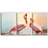 Quadro canvas 68x126 dois flamingos na lagoa - 1