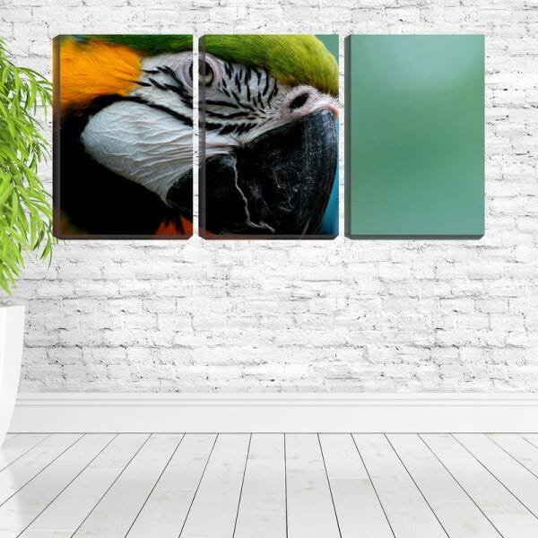 Quadro canvas 68x126 bico arara colorida - 2