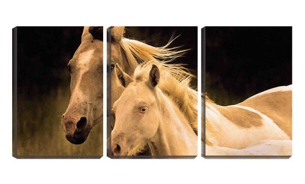 Quadro canvas 68x126 dois cavalos fundo preto - 1