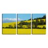Quadro canvas 68x126 campo amarelo entre árvores - 2