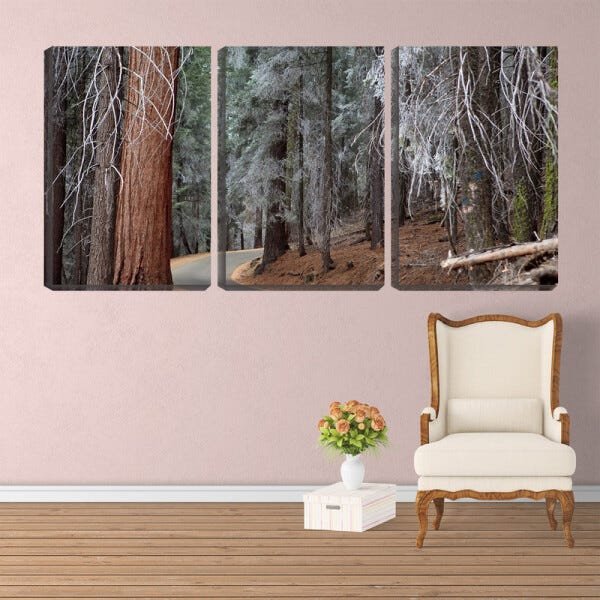 Quadro canvas 68x126 estrada entre árvores antigas - 2