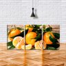 Quadro canvas 68x126 gomos amarelos de tangerinas - 2