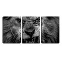 Ver imagem 1 de Quadro canvas 68x126 leão bravo fundo preto