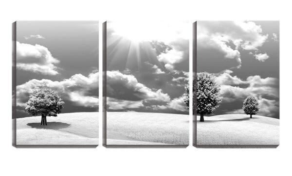 Quadro canvas 68x126 três árvores no campo pb - 1