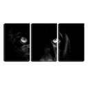 Ver imagem 1 de Quadro canvas 68x126 olhar de jaguar negro