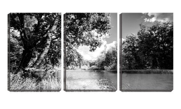 Quadro canvas 68x126 árvores ribeirinhas pb - 1