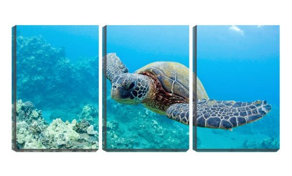 Quadro canvas 68x126 tartaruga no fundo do mar - 1