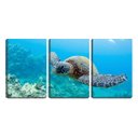 Ver imagem 1 de Quadro canvas 68x126 tartaruga no fundo do mar