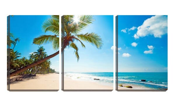 Quadro canvas 68x126 coqueiro na praia mansa - 2