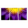 Quadro canvas 68x126 gotas na flor violeta - 1