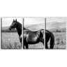 Quadro canvas 68x126 cavalo negro no campo arte - 1