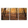 Quadro canvas 68x126 folhas secas na floresta - 1