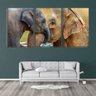 Quadro canvas 68x126 trombas de elefantes juntas - 2