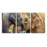 Quadro canvas 68x126 trombas de elefantes juntas - 1