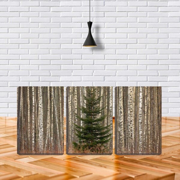 Quadro canvas 68x126 pinheiro entre caules na floresta - 2