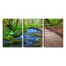 Quadro canvas 68x126 passagem de madeira no riacho - 1