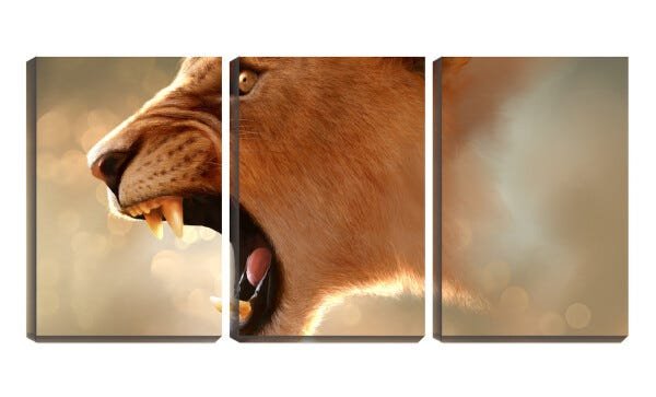 Quadro canvas 68x126 dentes de leoa arte - 2