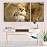 Quadro canvas 68x126 carícias de leões - 2
