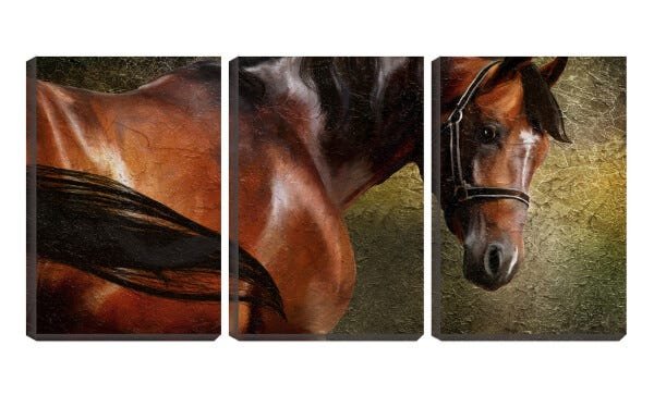 Quadro canvas 68x126 olhar de cavalo vermelho - 1