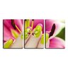 Quadro canvas 68x126 unhas com pedras de rubi manicure - 1