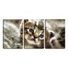 Quadro canvas 68x126 desenho filhote de gato - 1