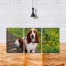 Quadro canvas 68x126 olha de beagle - 2