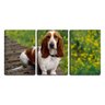 Quadro canvas 68x126 olha de beagle - 1