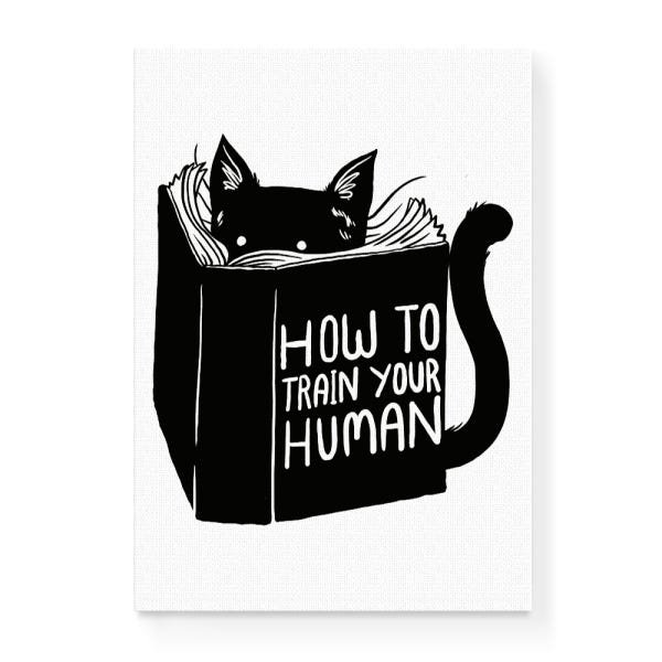 Quadro Decorativo em Tela Canvas Gato How To Train Your Human - 65x46cm - Arte Maníacos - 1