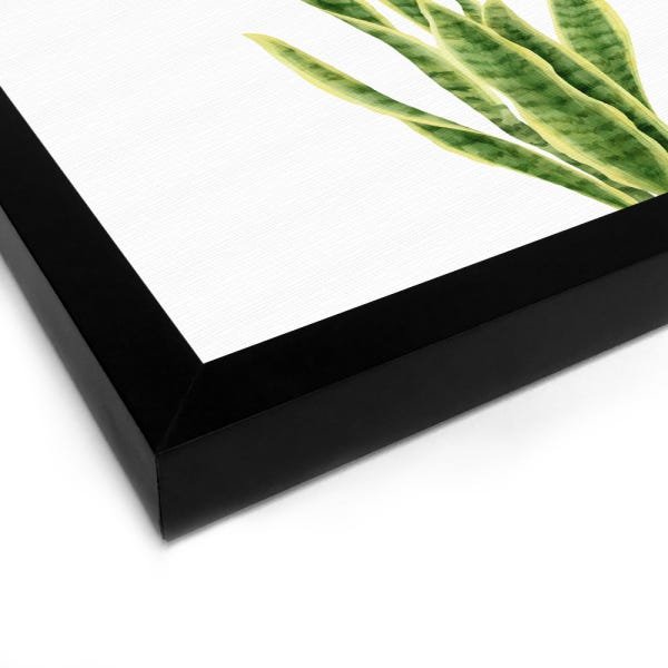 Quadro Decorativo Tela Canvas Planta Espada São Jorge - 46x32,5cm (Moldura caixa laca preta) - Arte  - 2